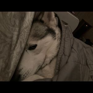 Meet your Posher, Alyse